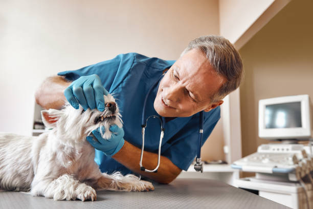 Best Emergency Treatment for Toothache in Port Salerno, FL